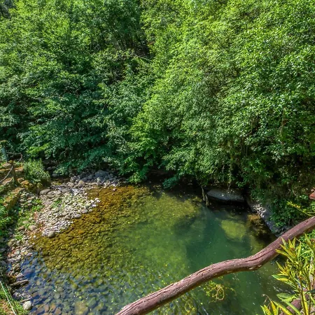 Appartamento Locazione Turistica Giallo Il Molinaccio